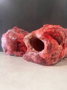 Gullet — ZAMCO