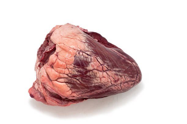 Hearts — ZAMCO